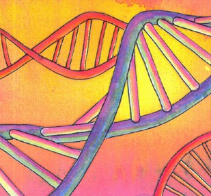 La Biologie de la santé et du bonheur